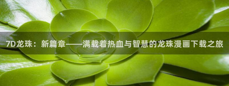 好看韩漫双男主的漫画：7D龙珠：新篇章——满载着热血与智慧的龙珠漫画下载之旅