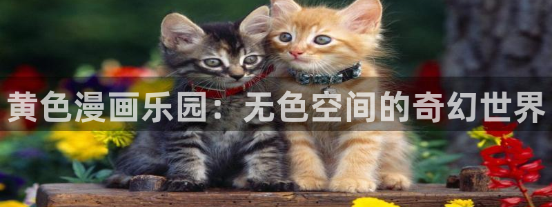 漫画韩漫羞羞：黄色漫画乐园：无色空间的奇幻世界
