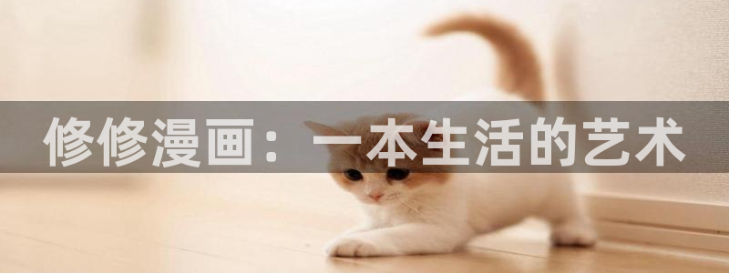 韩漫公爵类的漫画推荐：修修漫画：一本生活的艺术