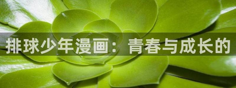 tl韩漫网站：排球少年漫画：青春与成长的