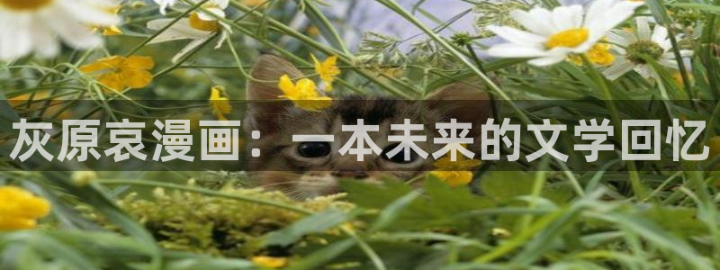 韩漫bl漫：灰原哀漫画：一本未来的文学回忆