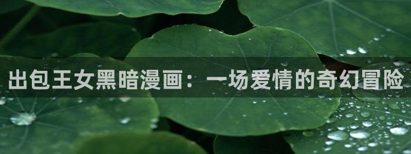 诚信原则韩漫在线看：出包王女黑暗漫画：一场爱情的奇幻冒险