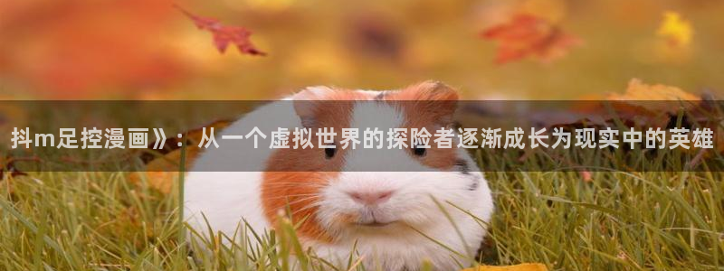 韩漫网站平台：抖m足控漫画》：从一个虚拟世界的探险者逐渐成长为现实中的英雄