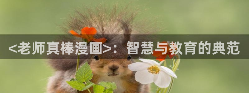 韩漫禁漫网站：<老师真棒漫画>：智慧与教育的典范