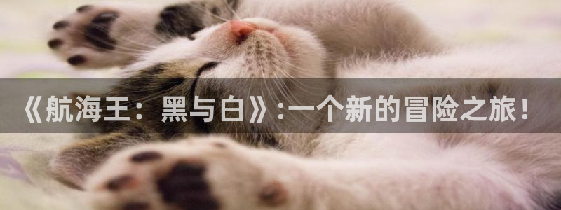 韩漫漫画在线免费观看