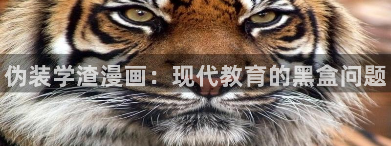 韩漫水边之夜在线观看：伪装学渣漫画：现代教育的黑盒问题