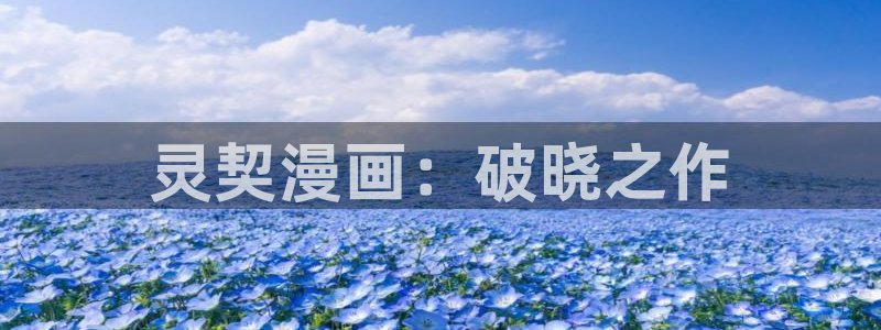 韩漫h免费在线观看：灵契漫画：破晓之作