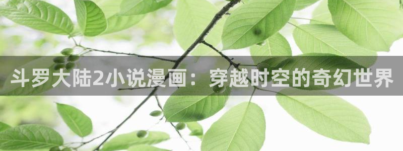 韩漫歪歪漫画在线免费观看：斗罗大陆2小说漫画：穿越时空的奇幻世界